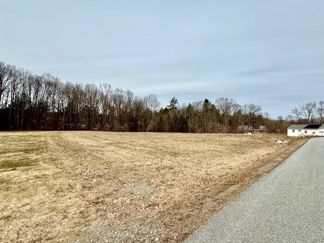 0 Mckenna Way, Unit 2 West Chesterfield, NH 03466 - Photo 3 of 12