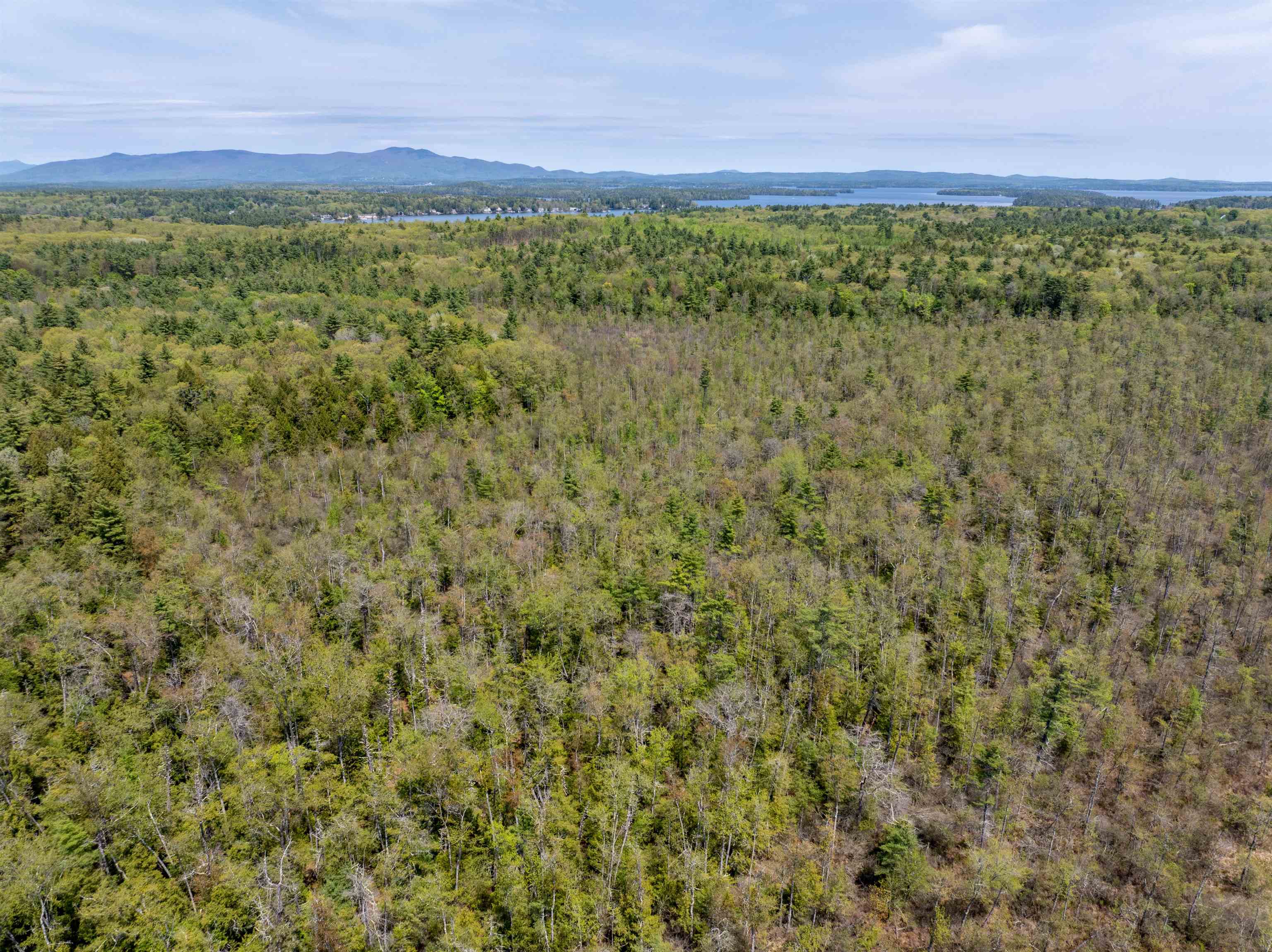 547 White Oaks Road Laconia, NH 03246 - Photo 14 of 25