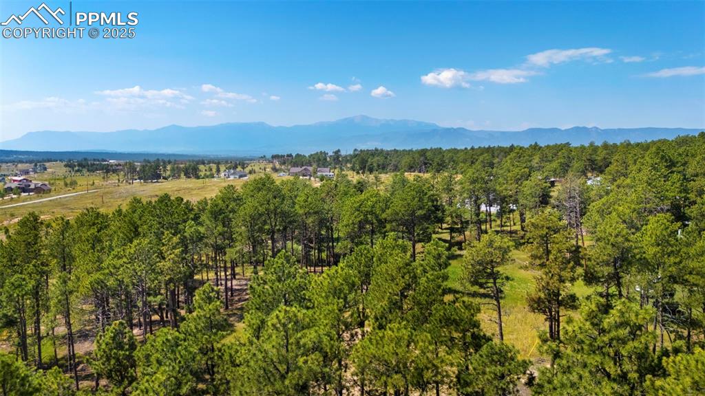 6225 Vessey Road Colorado Springs, CO 80908 - Photo 4 of 8 a view of a city
