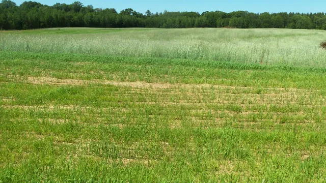 $23,900 | L0-t 17 Red Maple Lane, Siren, WI 54872