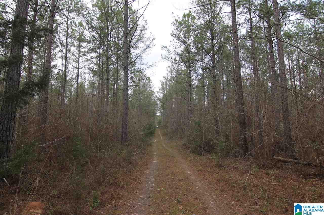 500 Lil Beaver Road, Unit 260 AC Daviston, AL 36256 - Photo 15 of 20