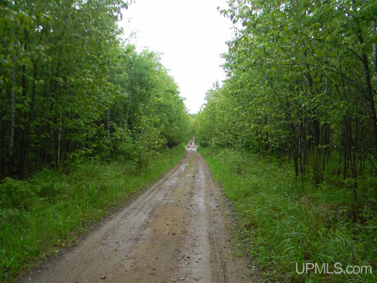 Tbd Off Sawyer Lake Road, Unit NESE Channing, MI 49815 - Photo 1 of 6