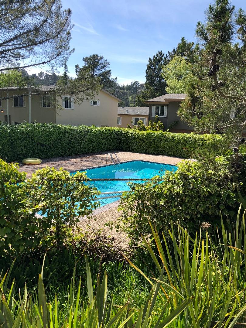 31 Reed Boulevard Mill Valley, CA 94941 - Photo 3 of 3