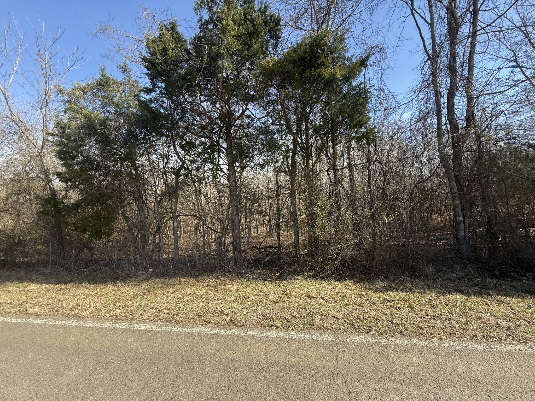 0 Epps Road Southside, TN 37171 - Photo 19 of 20 a view of a yard