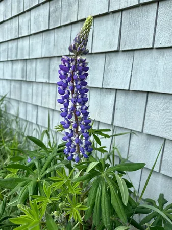 $1,150,000 | 561 Bayside Road, Ellsworth, ME 04605