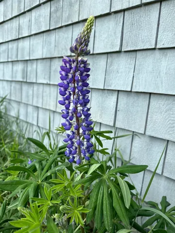 $1,350,000 | 561 Bayside Road, Ellsworth, ME 04605