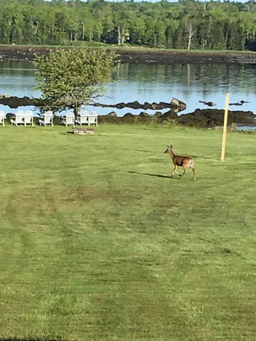 $1,350,000 | 561 Bayside Road, Ellsworth, ME 04605