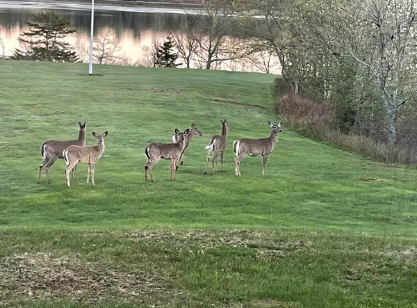 $1,150,000 | 561 Bayside Road, Ellsworth, ME 04605