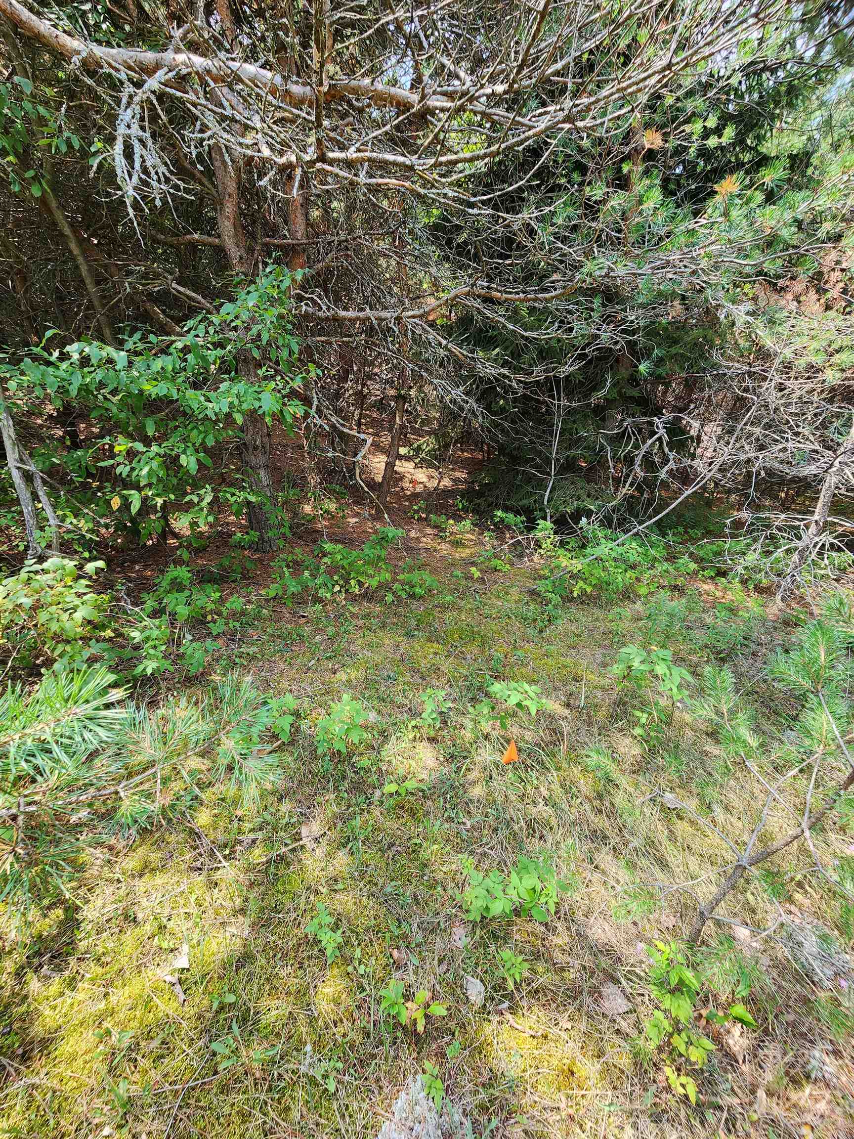 Parcel A East 18 1/2 Road Manton, MI 49663 - Photo 25 of 42 Gallery Image 25