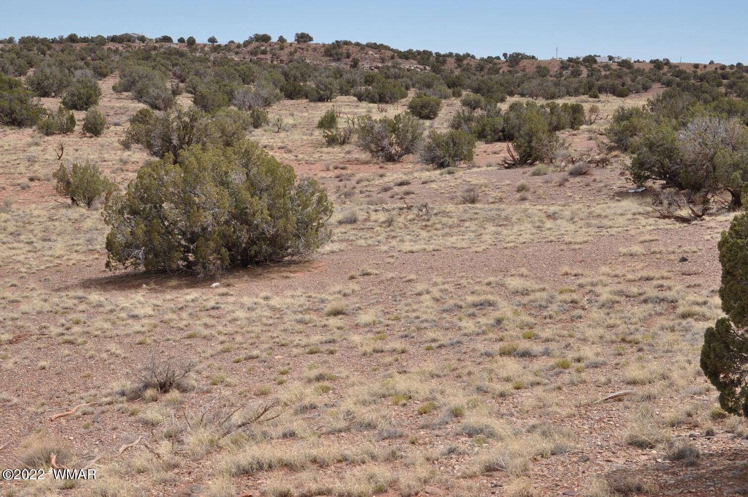 9558 Quarter Master Trail Snowflake, AZ 85937 - Photo 1 of 21