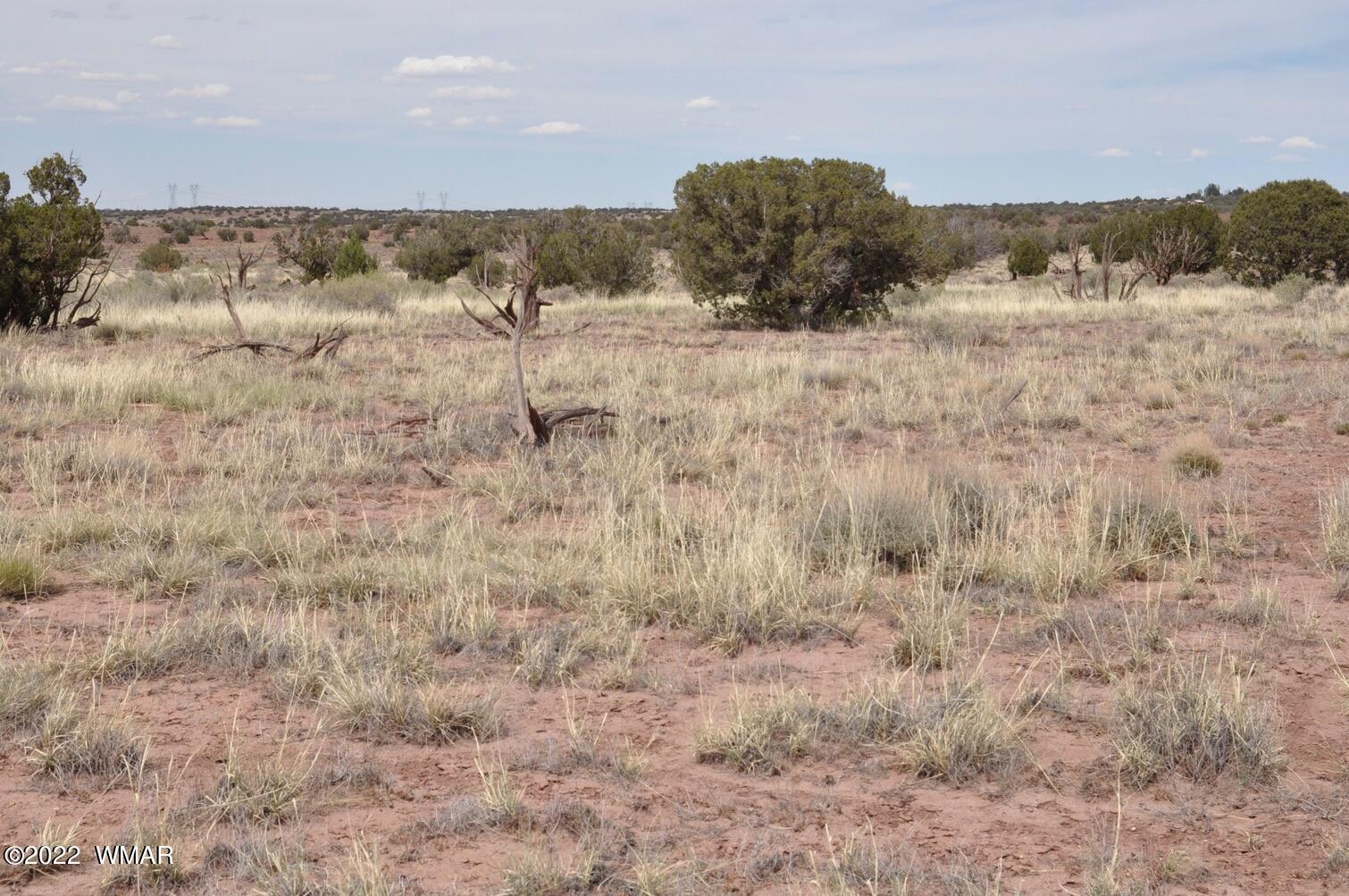 9558 Quarter Master Trail Snowflake, AZ 85937 - Photo 13 of 21