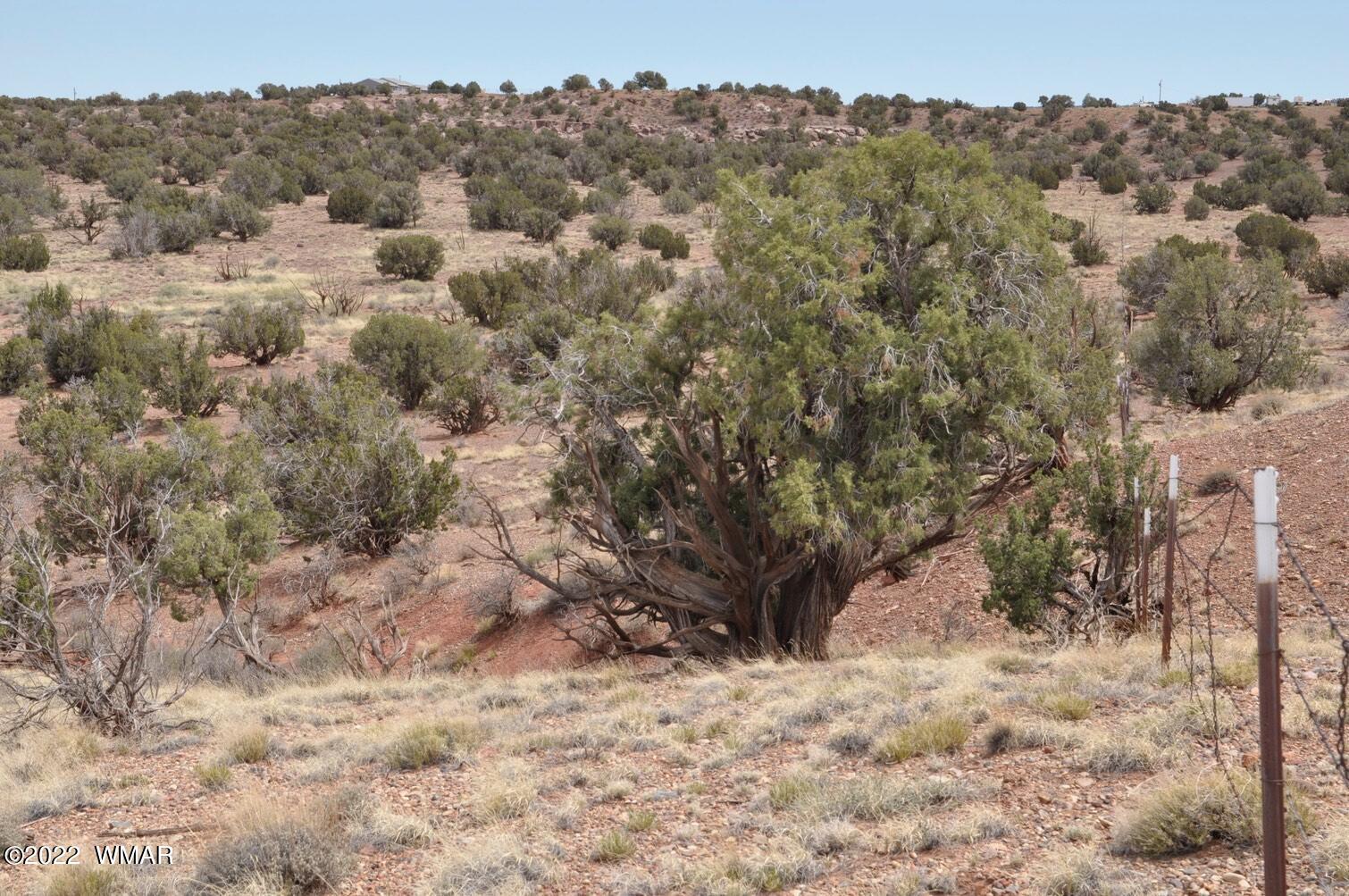 9558 Quarter Master Trail Snowflake, AZ 85937 - Photo 14 of 21