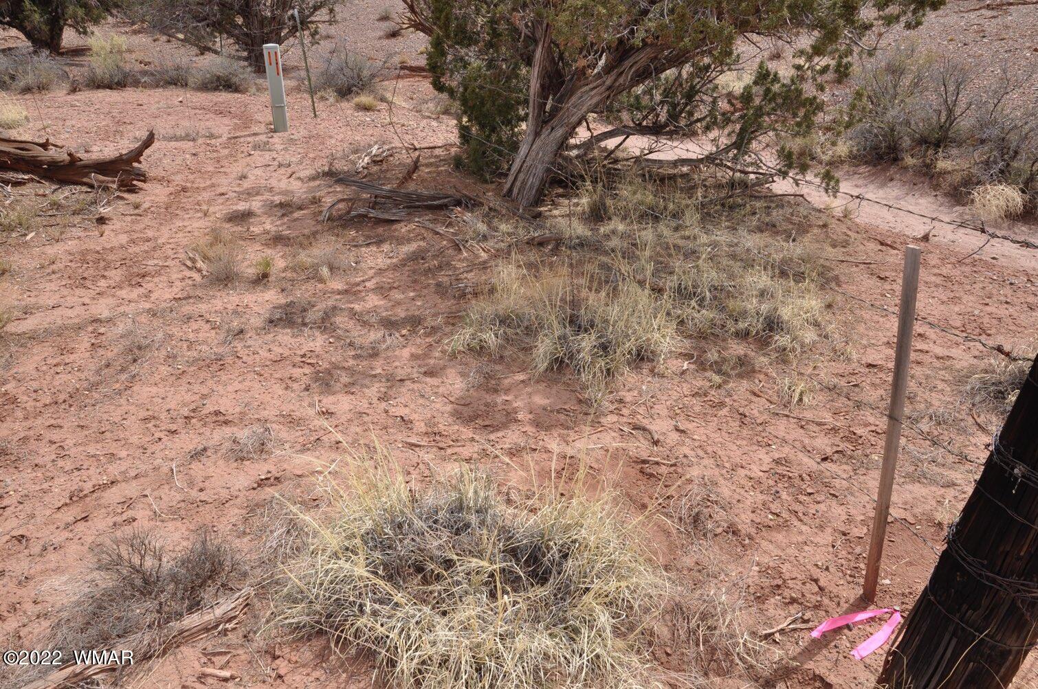 9558 Quarter Master Trail Snowflake, AZ 85937 - Photo 16 of 21