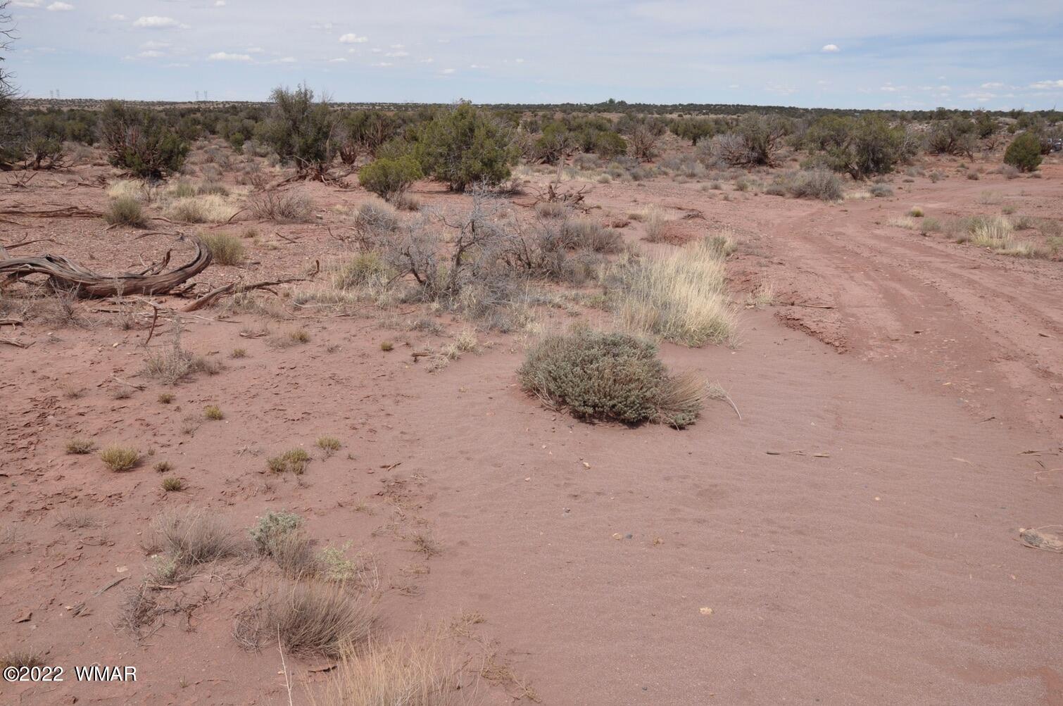 9558 Quarter Master Trail Snowflake, AZ 85937 - Photo 19 of 21