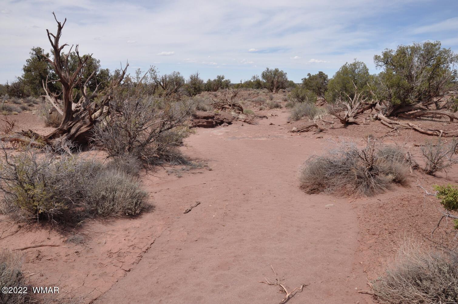 9558 Quarter Master Trail Snowflake, AZ 85937 - Photo 2 of 21