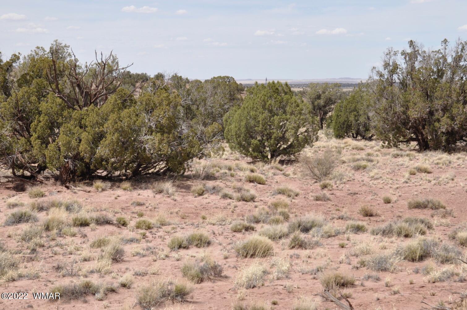 9558 Quarter Master Trail Snowflake, AZ 85937 - Photo 21 of 21