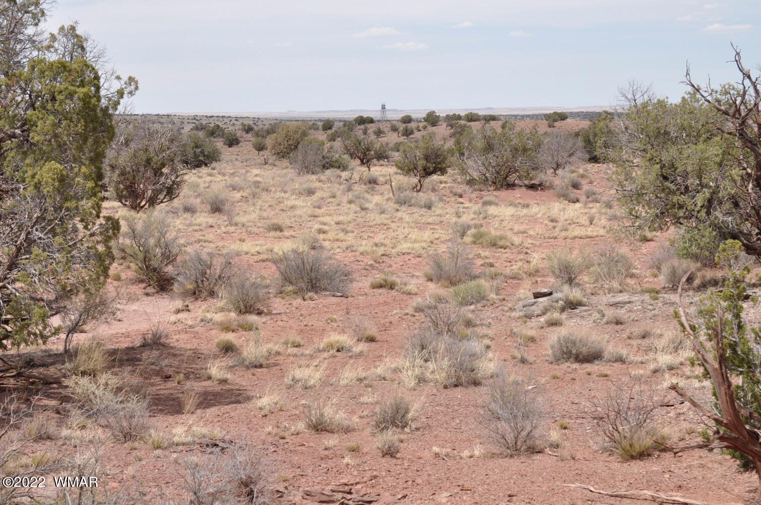 9558 Quarter Master Trail Snowflake, AZ 85937 - Photo 4 of 21