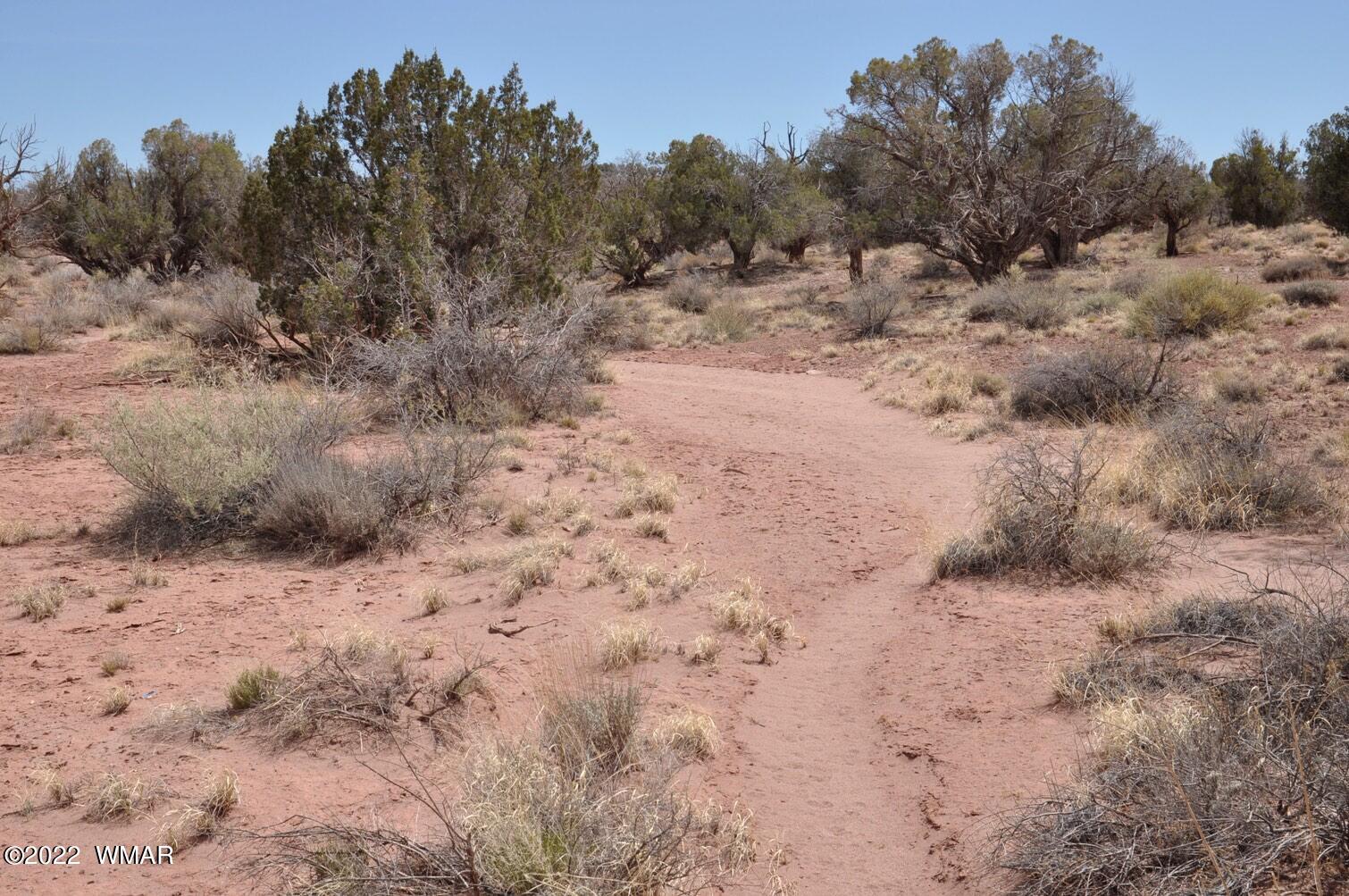 9558 Quarter Master Trail Snowflake, AZ 85937 - Photo 6 of 21