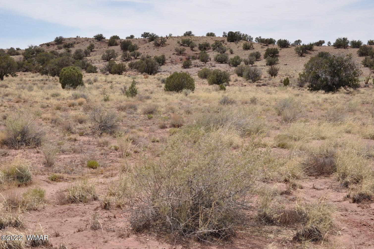 9558 Quarter Master Trail Snowflake, AZ 85937 - Photo 7 of 21