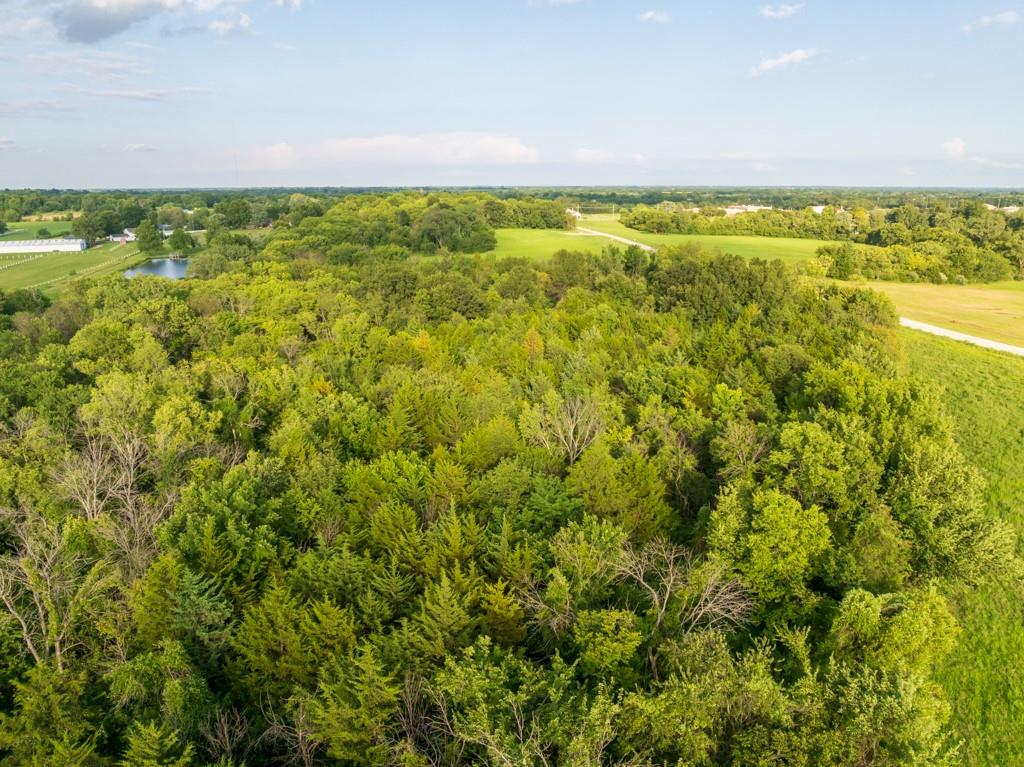 Lot 5 Timber Ridge Drive Peculiar, MO 64078 - Photo 11 of 27 Gallery Image 11