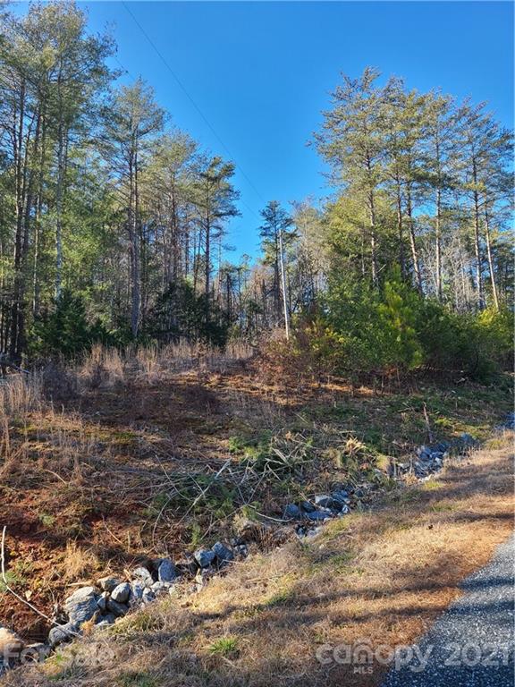 0 Martin Road, Unit 14 Rutherfordton, NC 28139 - Photo 2 of 5 a view of a lake with houses