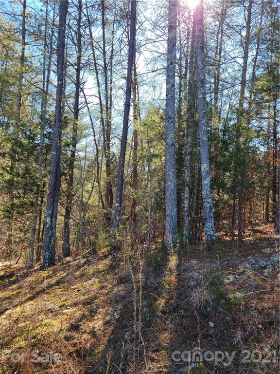 0 Martin Road, Unit 14 Rutherfordton, NC 28139 - Photo 3 of 5 a view of a forest with trees