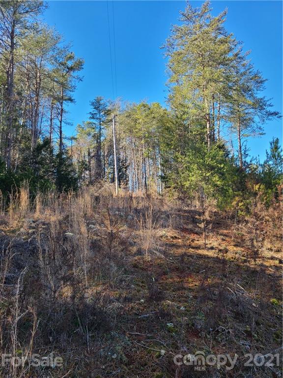 0 Martin Road, Unit 14 Rutherfordton, NC 28139 - Photo 4 of 5 a view of outdoor space and trees
