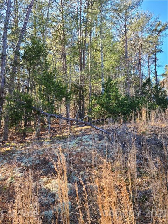 0 Martin Road, Unit 14 Rutherfordton, NC 28139 - Photo 5 of 5 a view of a yard with plants and trees