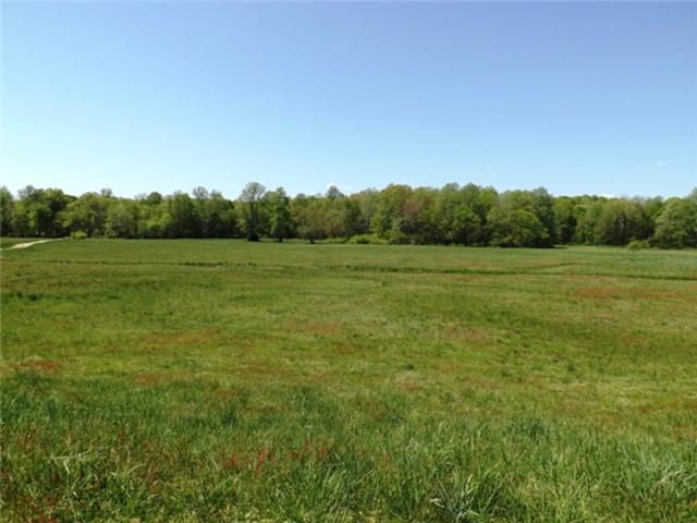 1278 Spence Road Camden, TN 38320 - Photo 7 of 20 a view of field with trees in the background