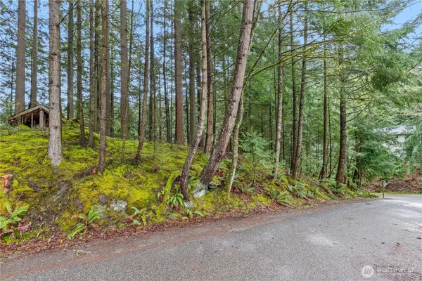 a backyard of a house with lots of green space and garden