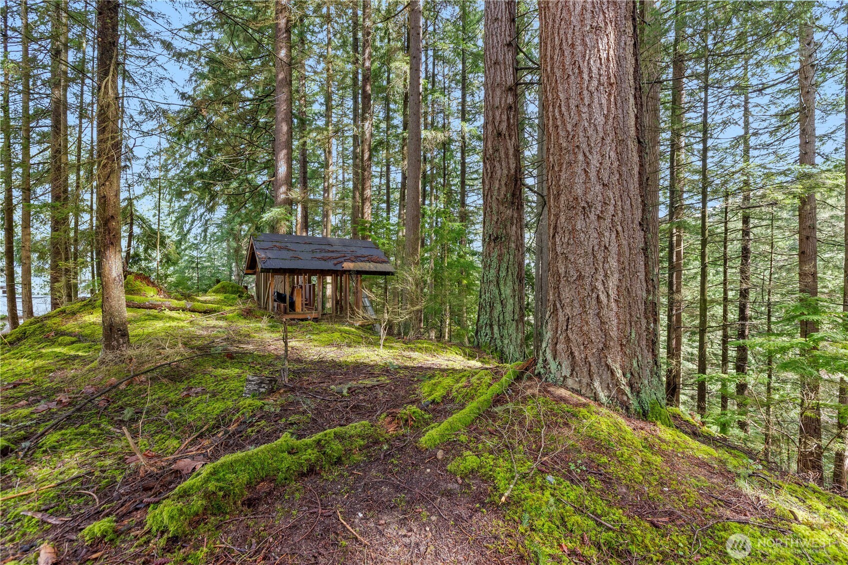 2 Oval Court Bellingham, WA 98229 - Photo 4 of 12 a view of a back yard