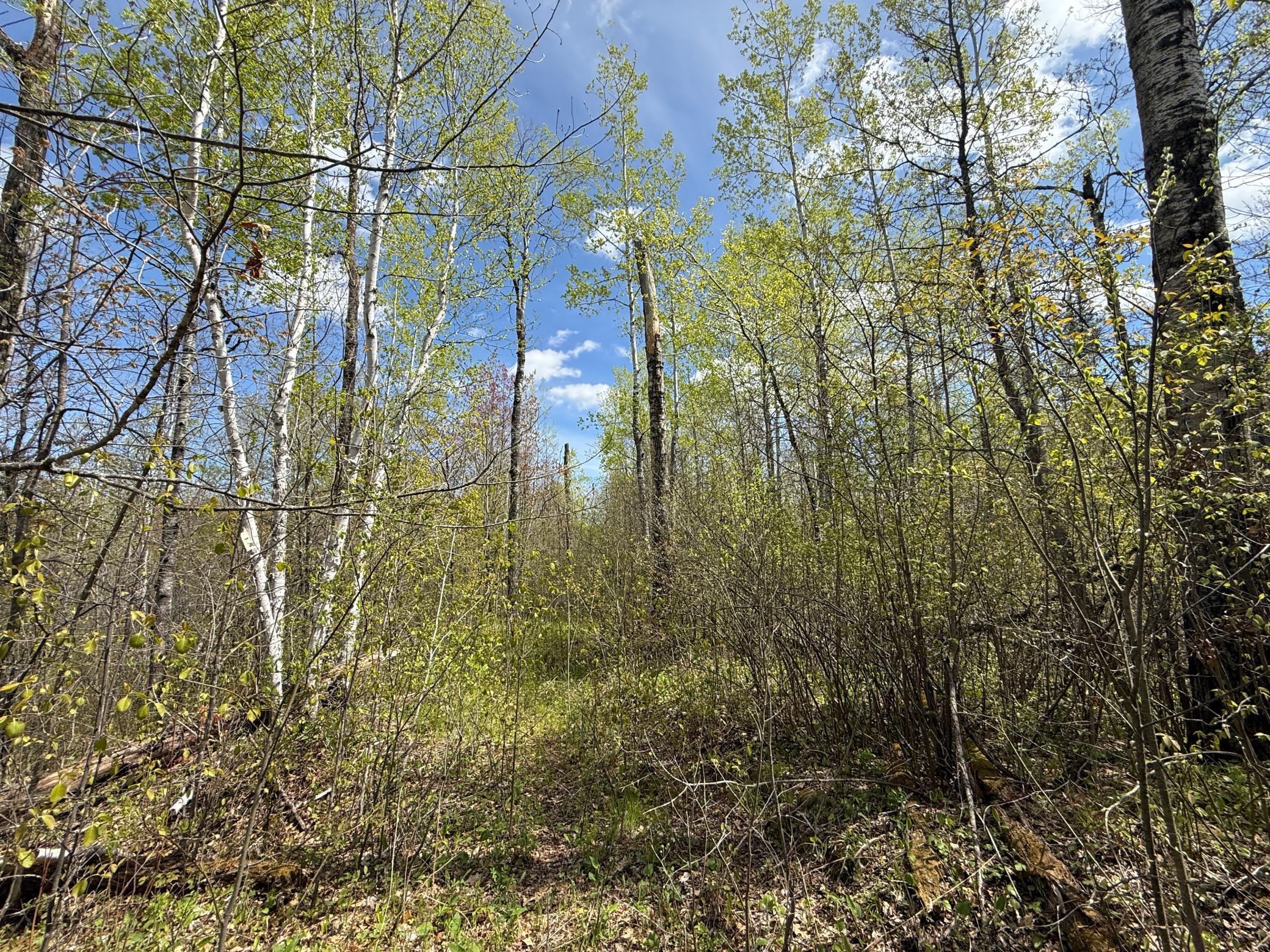 3854 Rasmussen Road Wright, MN 55798 - Photo 10 of 98