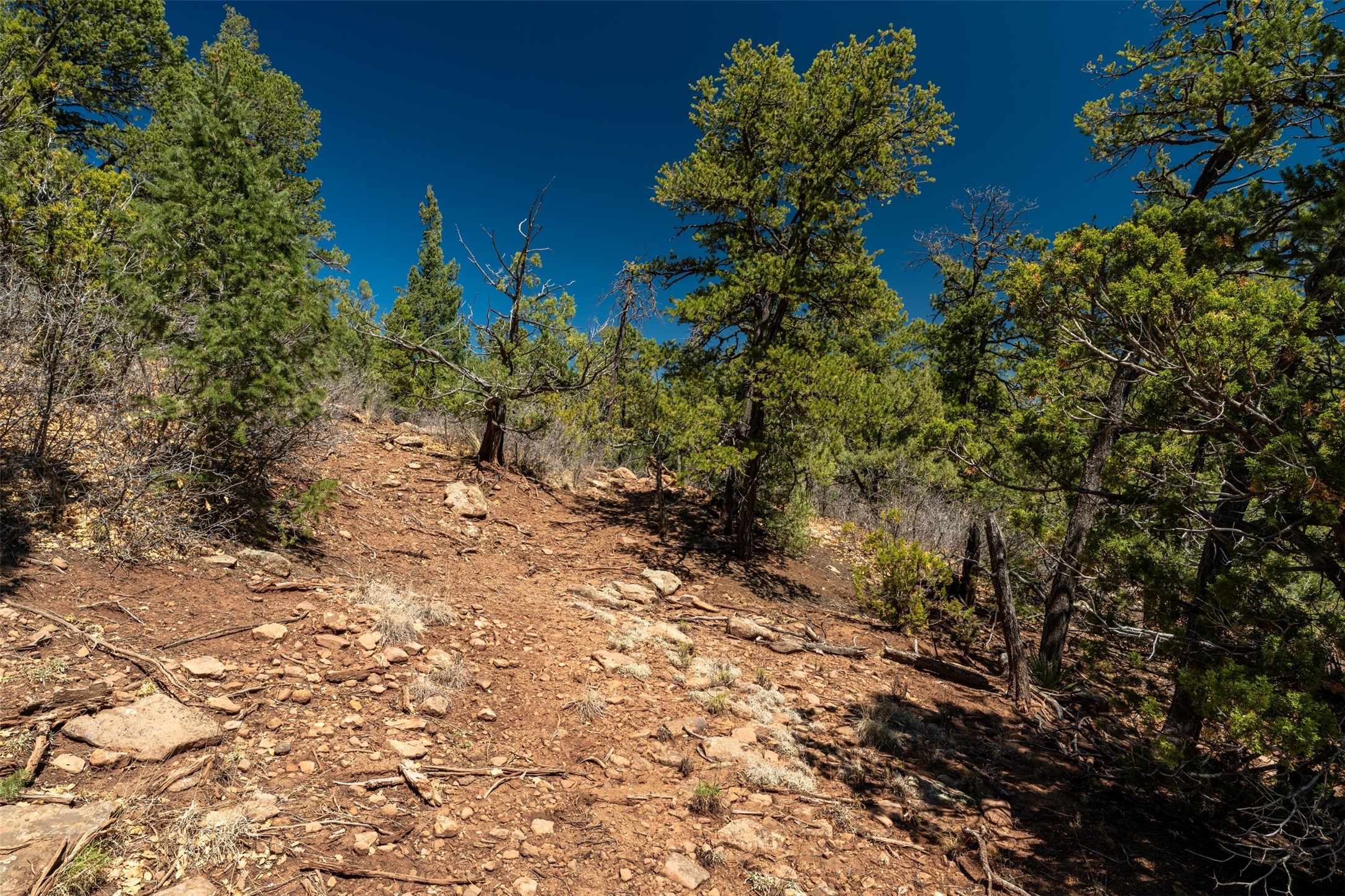 30 Monte La Cueva Road Glorieta, NM 87535 - Photo 75 of 91