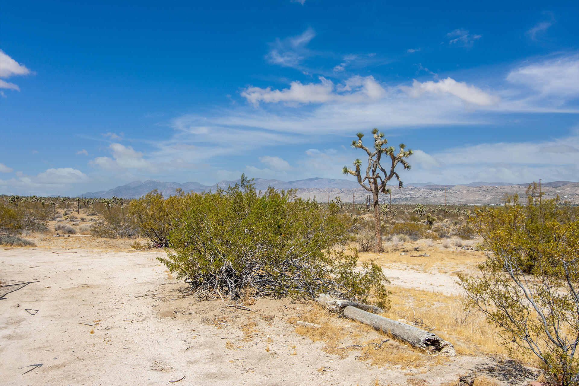 7382 Olympic Road Joshua Tree, CA 92252 - Photo 22 of 38 img-38