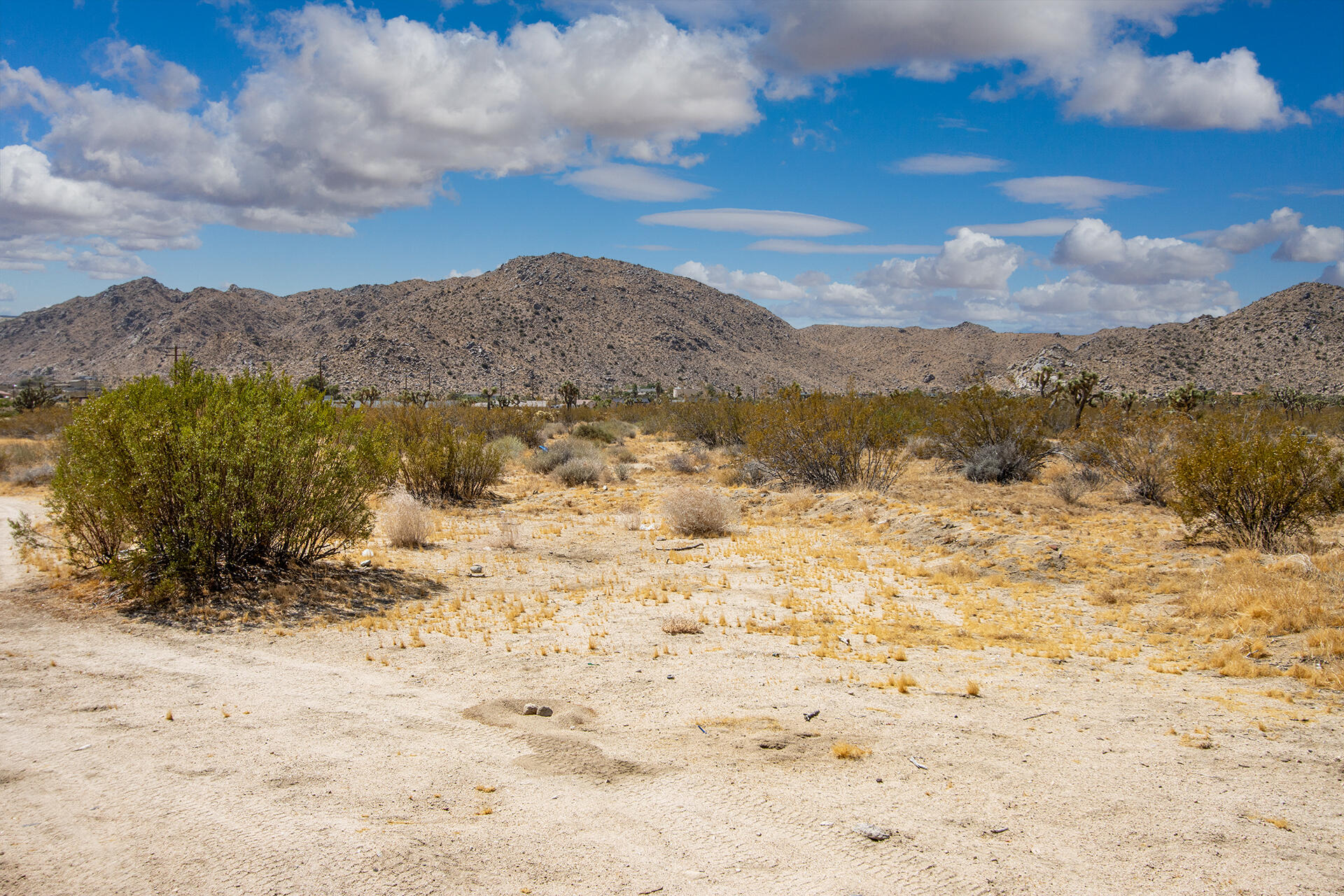 7382 Olympic Road Joshua Tree, CA 92252 - Photo 29 of 38 img-39