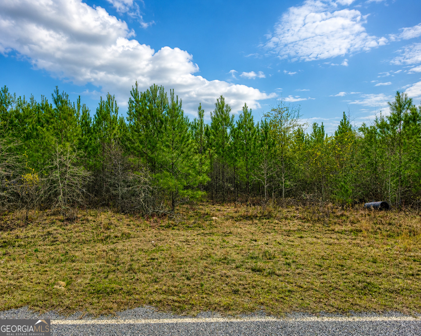 6965 Jim Pruett Road Eastman, GA 31023 - Photo 5 of 6