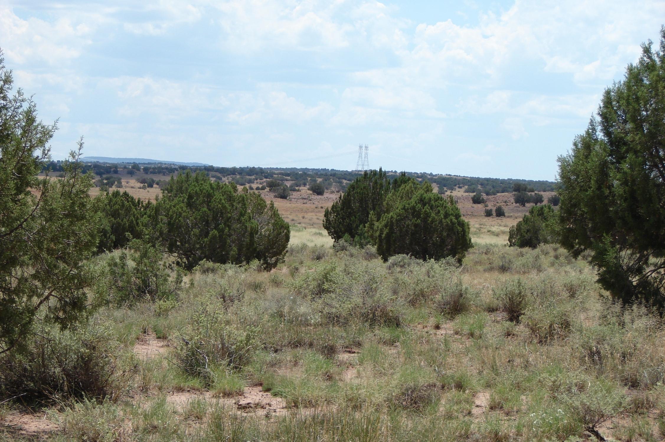 Rio Rio Ranch Concho, AZ 85924 - Photo 2 of 4