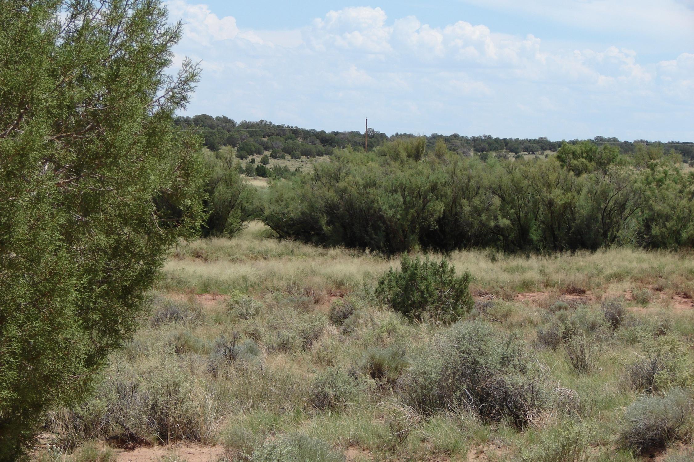 Rio Rio Ranch Concho, AZ 85924 - Photo 3 of 4