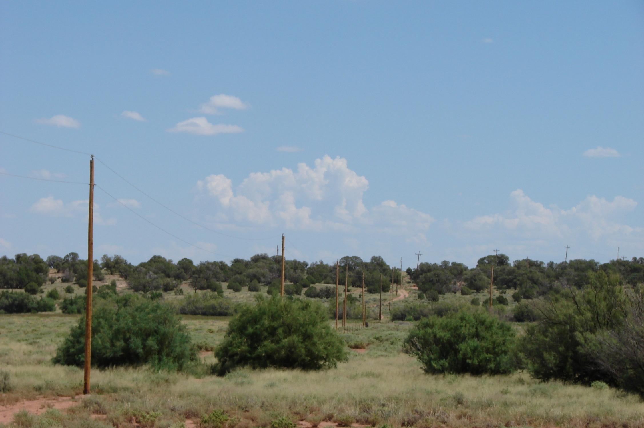 Rio Rio Ranch Concho, AZ 85924 - Photo 4 of 4