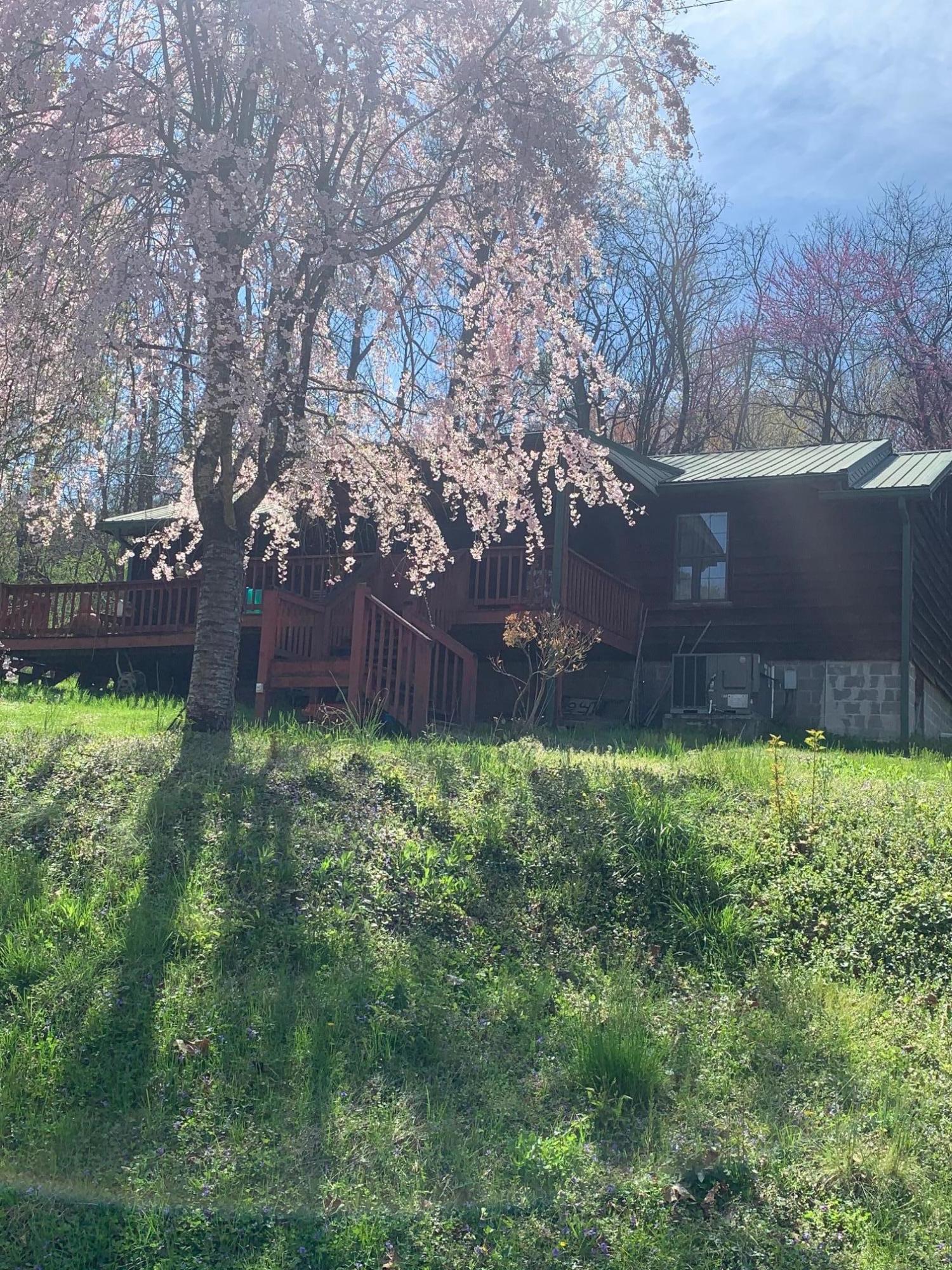 144 Childs Road Harriman, TN 37748 - Photo 1 of 8 childs front