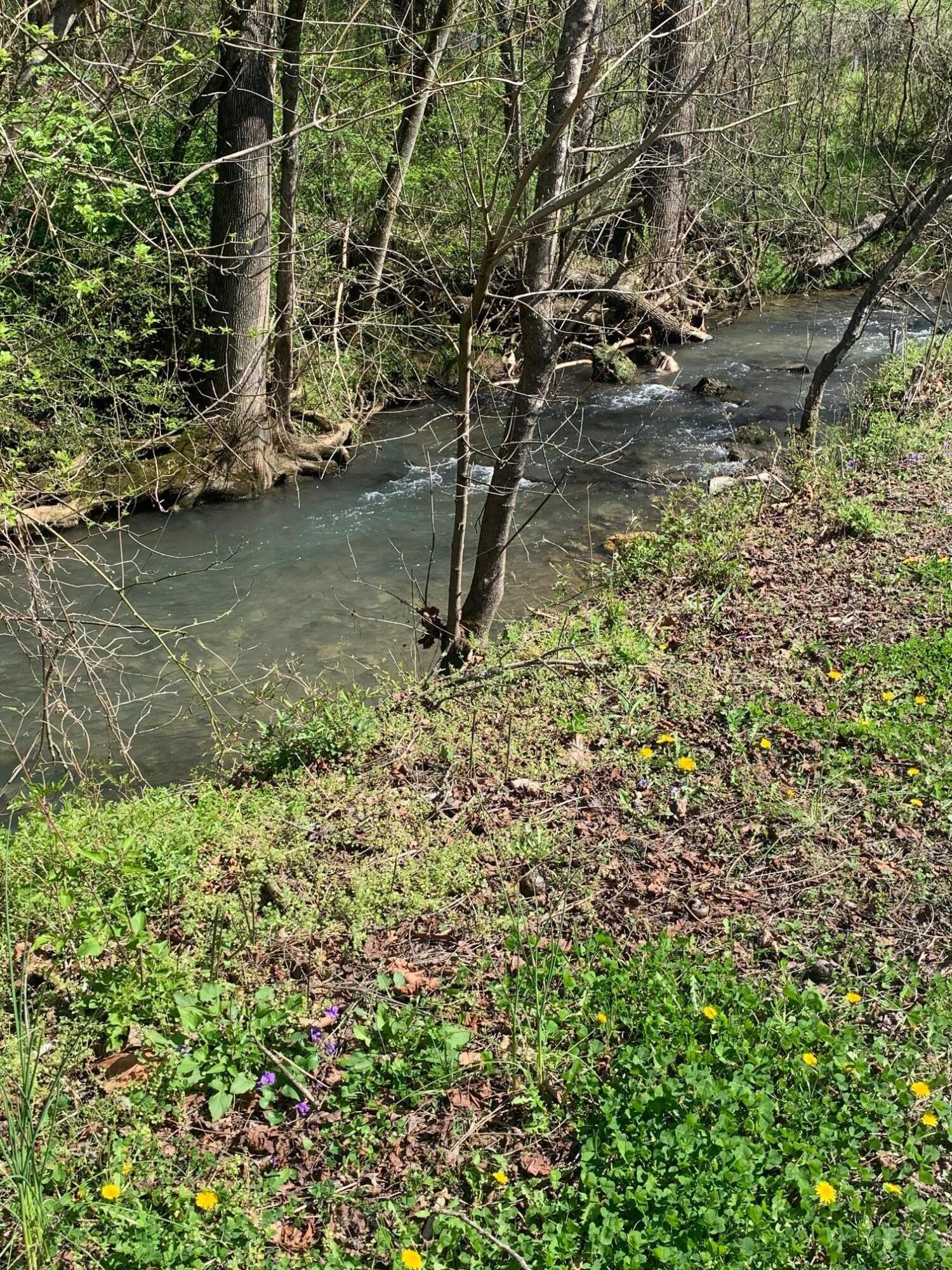 144 Childs Road Harriman, TN 37748 - Photo 8 of 8 childs creek