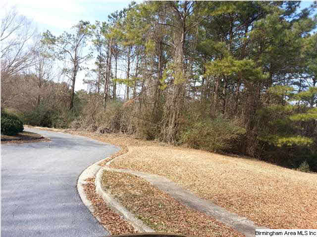 110 Cherry Tree Lane, Unit 21 Cropwell, AL 35054 - Photo 2 of 4