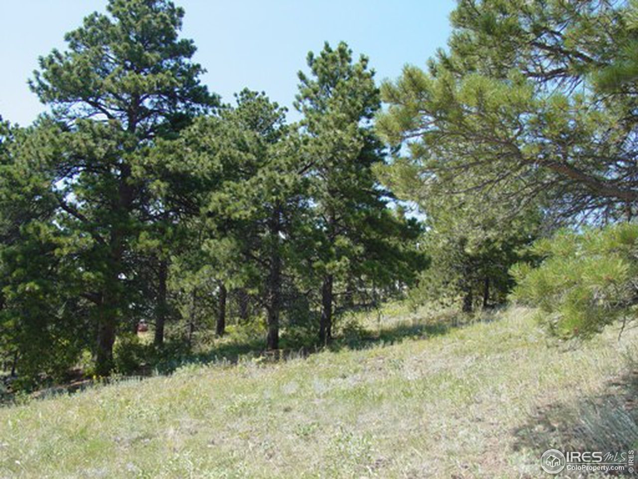 31195 Burland Road Golden, CO 80403 - Photo 6 of 8 Gallery Image 6