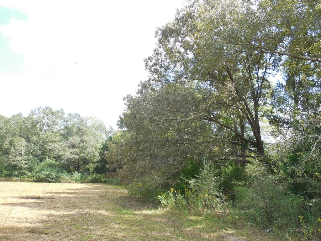 7.8-acre Hardy Road Dothan, AL 36301 - Photo 1 of 1