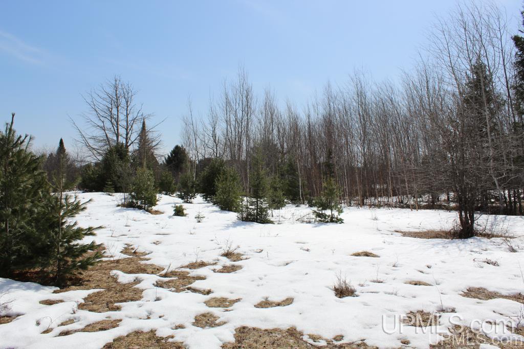 29776-29980 Post Road Lake Linden, MI 49945 - Photo 32 of 48 Gallery Image 32