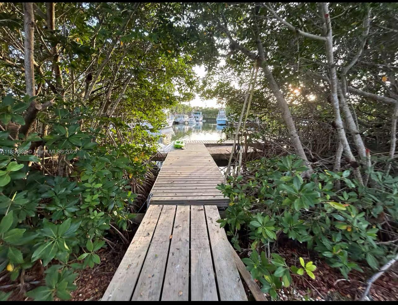 350 Hazel Street Key Largo, FL 33037 - Photo 9 of 22 a view of flowing water with large trees
