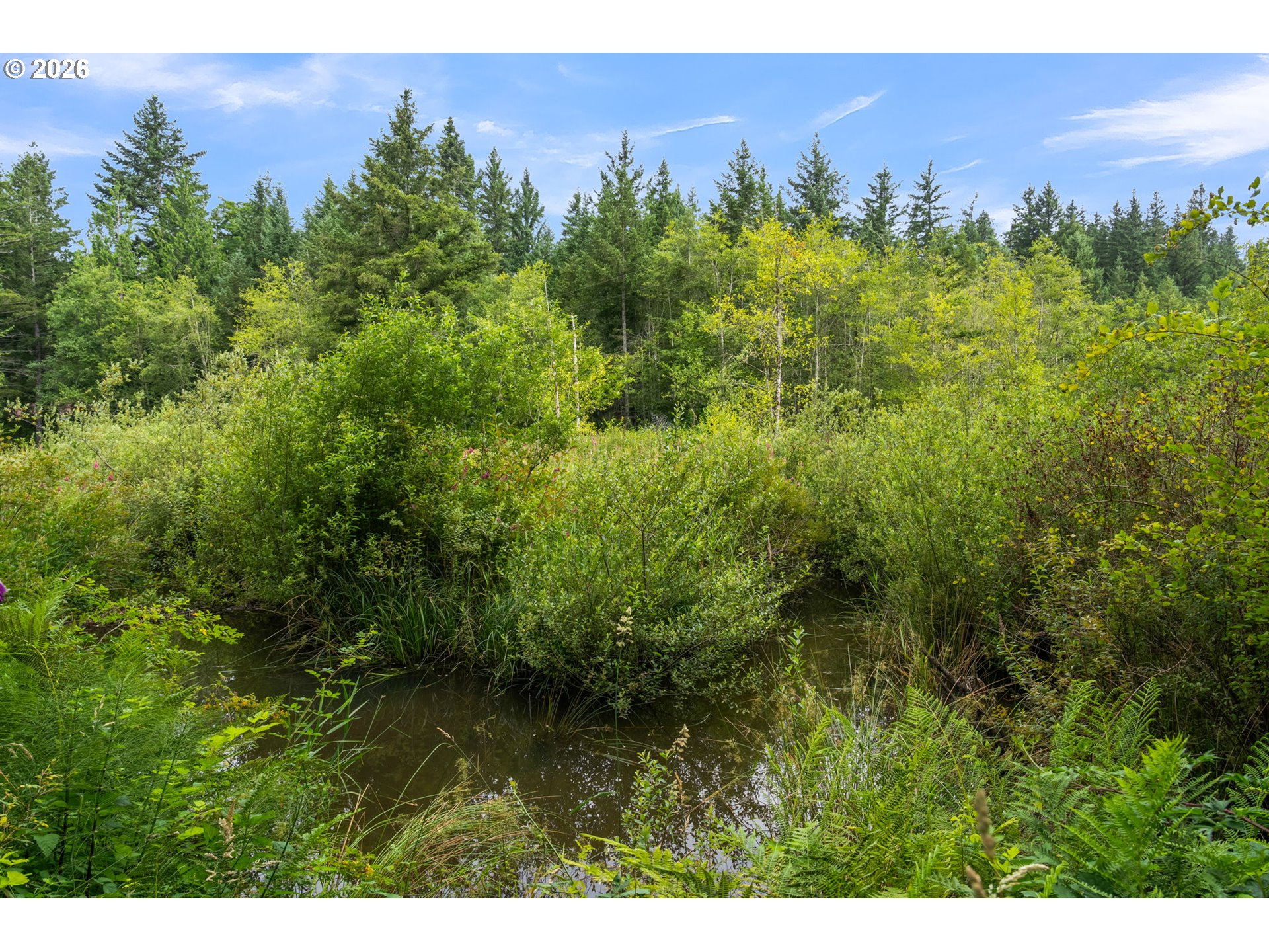 3832 Northeast Cavitt Road Camas, WA 98607 - Photo 29 of 44