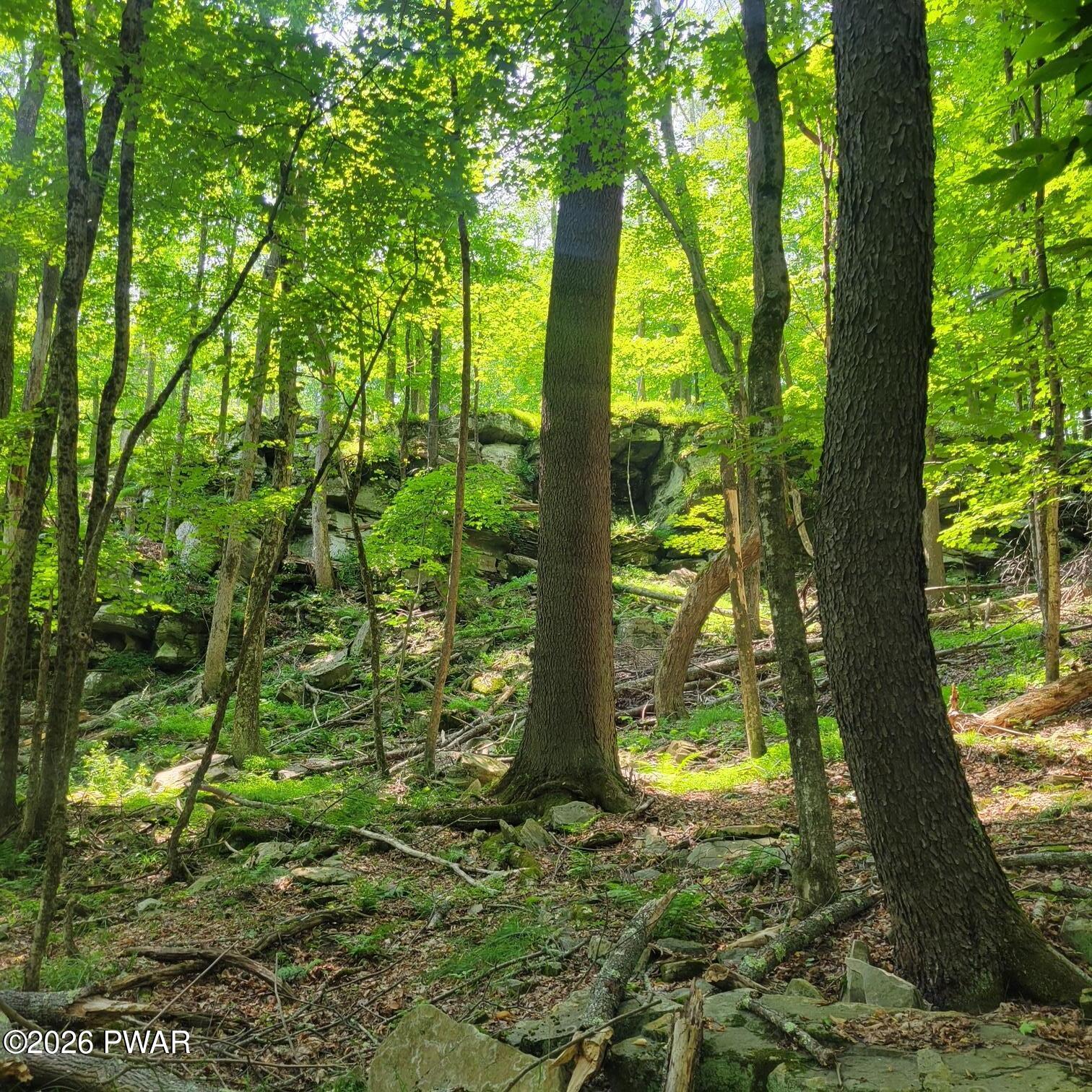 Lot 193 Cygnus Road Lake Ariel, PA 18436 - Photo 6 of 25