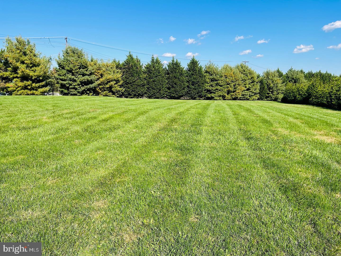 a view of a green field with trees in the background