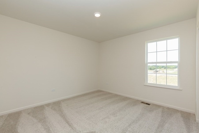 3628 Emerald Road Elgin, IL 60124 - Photo 14 of 23